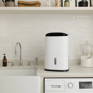 Arete® Two 10L Dehumidifier & Air Purifier with App Control, Premium LCD Display, DC Motor, H13 HEPA Filter & 5-Year Warranty
