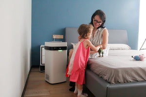 Veralis X5 Professional Air Purifier & Medical Air Cleaning System, Washable Plates, 420 m³/h Airflow