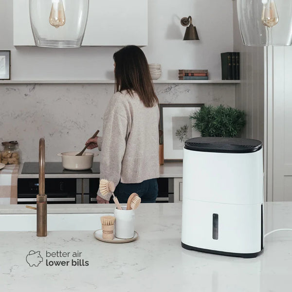 Arete® One 6L Compact 2-in-1 Dehumidifier & Air Purifier with H13 HEPA Filter, Smart Laundry Mode, Quiet Operation & 5-Year Warranty