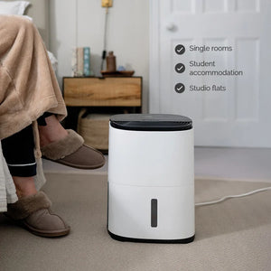 Arete® One 6L Compact 2-in-1 Dehumidifier & Air Purifier with H13 HEPA Filter, Smart Laundry Mode, Quiet Operation & 5-Year Warranty