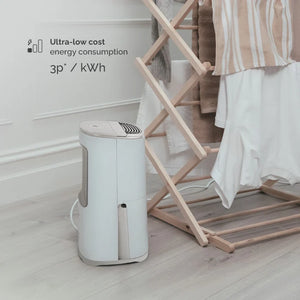 Arete® One 6L Compact 2-in-1 Dehumidifier & Air Purifier with H13 HEPA Filter, Smart Laundry Mode, Quiet Operation & 5-Year Warranty